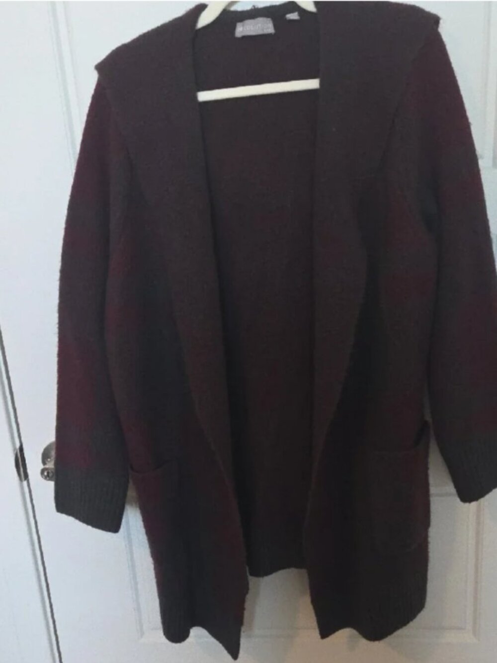 Evolution by Cyrus Carley Hooded Coatigan 2X Stitch Fix
